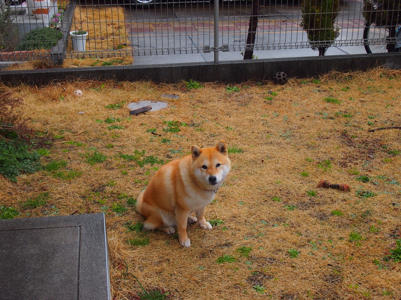 九游下载中心-NBA明星的慈善行动感人至深，公益溢满赛场外，nba慈善活动