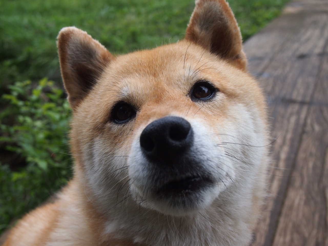 _云端登山模拟：虚拟现实中的极限高峰_，模拟登山运动