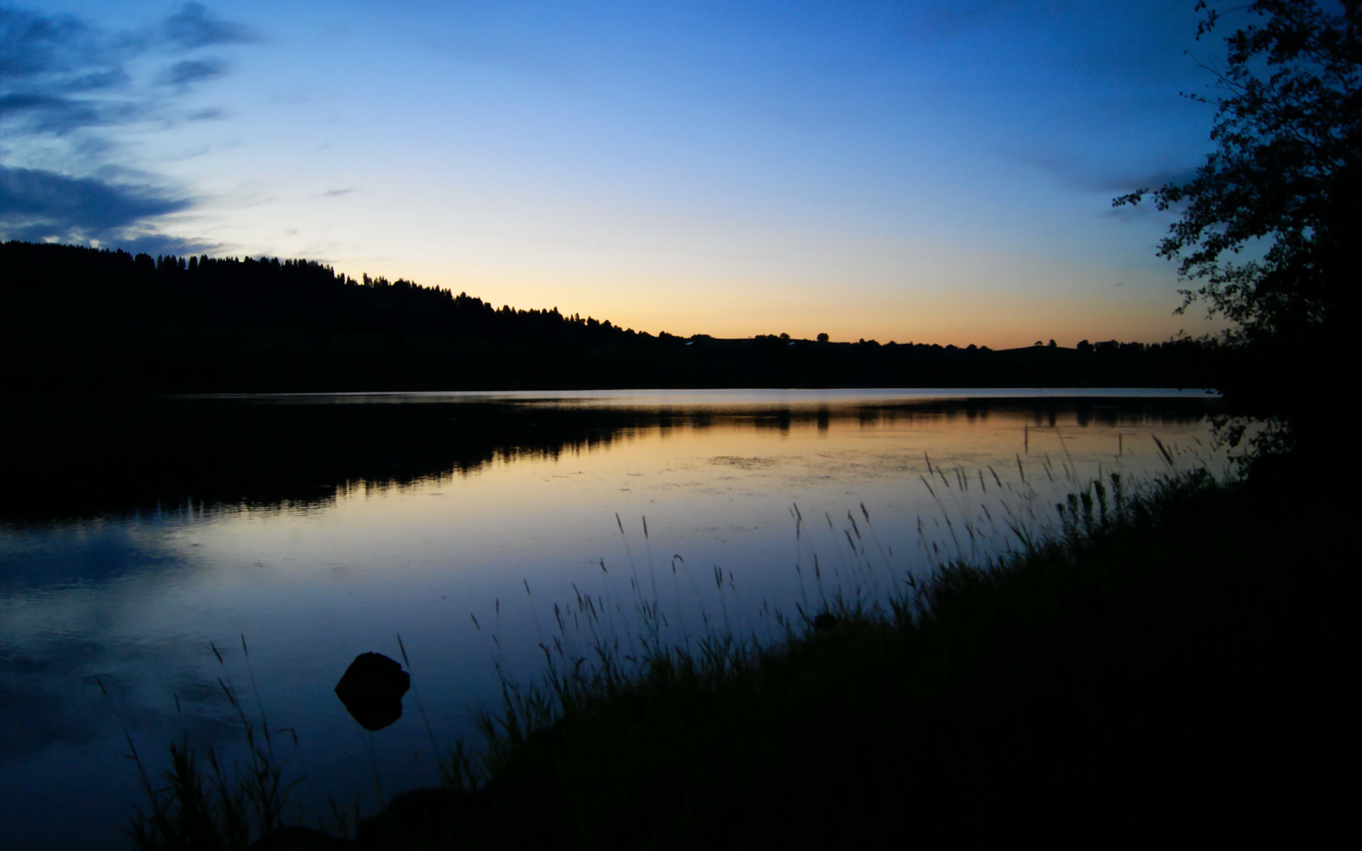 九游(jiuyou)官方网站-WRC装备升级：最新技术带来的速度变革，wrc1