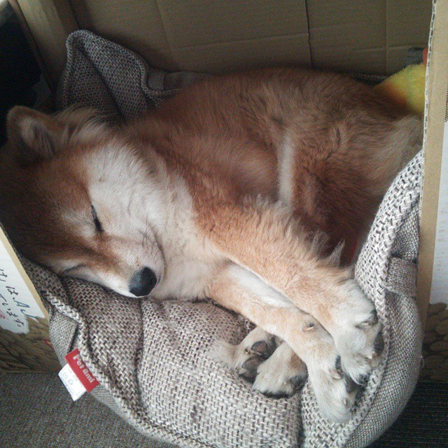 九游娱乐APP-“未来技术：自动驾驶助力速度革新”，自动驾驶汽车的未来畅想