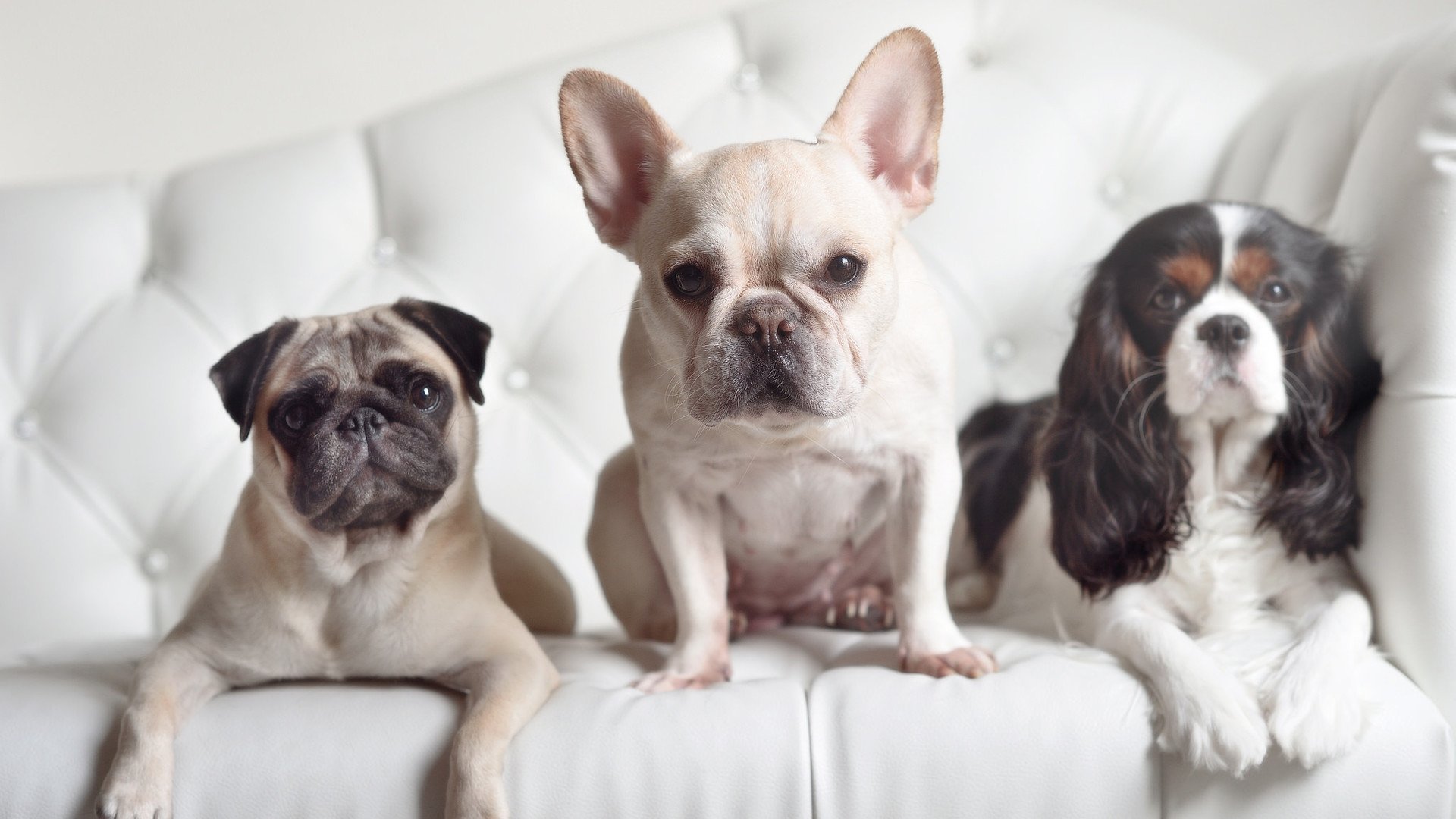 全国青少年“篮球无限”系列公益活动在济南盛大启动,2021全国青少年篮球邀请赛