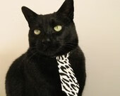 勇士队迎来五连胜，库里状态爆棚，勇士队 curry