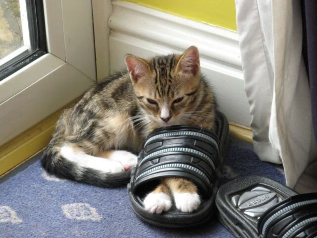 季后赛历史：库里在“决胜局”投中关键三分，帮助勇士逆转取胜！