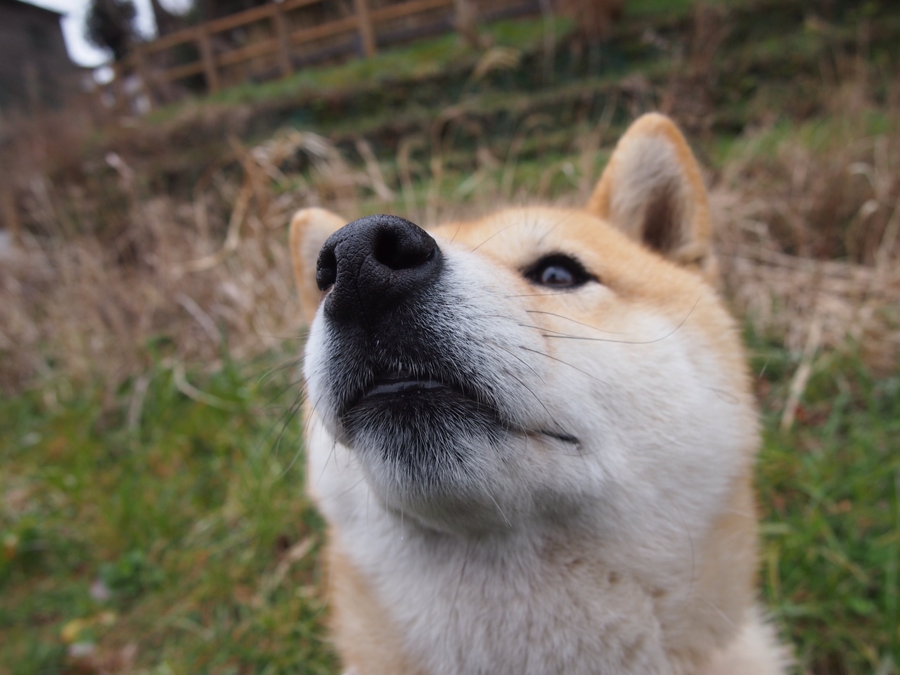 逆境中的“永不放弃”精神,激励无数球迷,在困难逆境中不放弃的励志人物