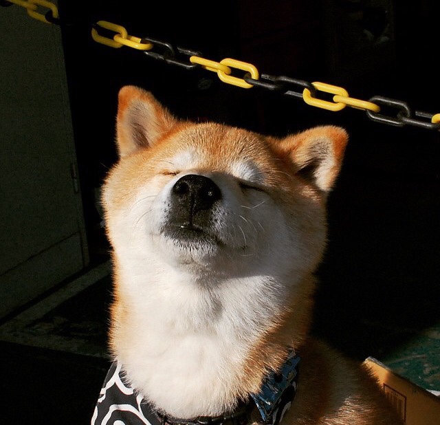 亚洲足球洲际盛事即将拉开帷幕,全球瞩目,亚洲足球最新消息