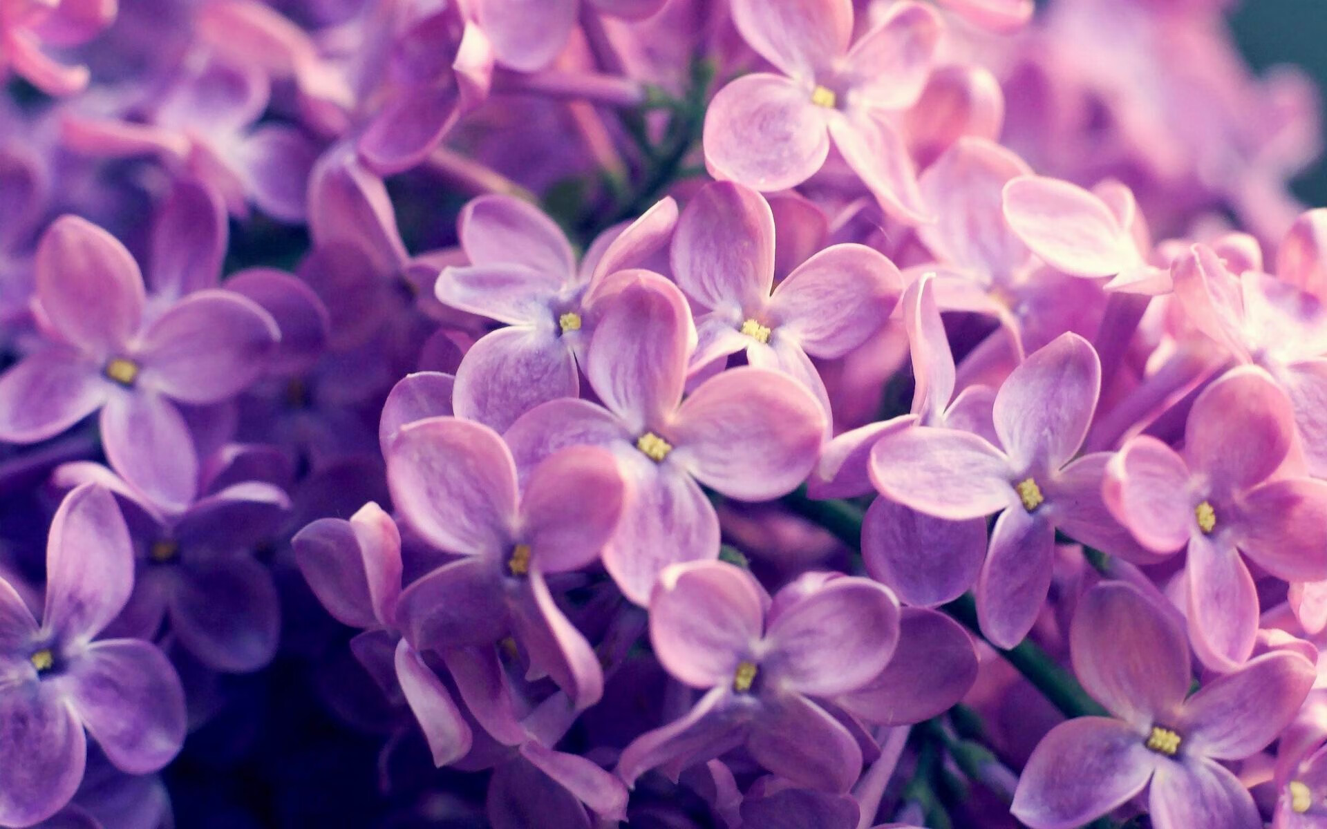 九游jiuyou-多特蒙德客场1-1战平弗赖堡，收获平局，多特蒙德对弗赖堡的比分预测