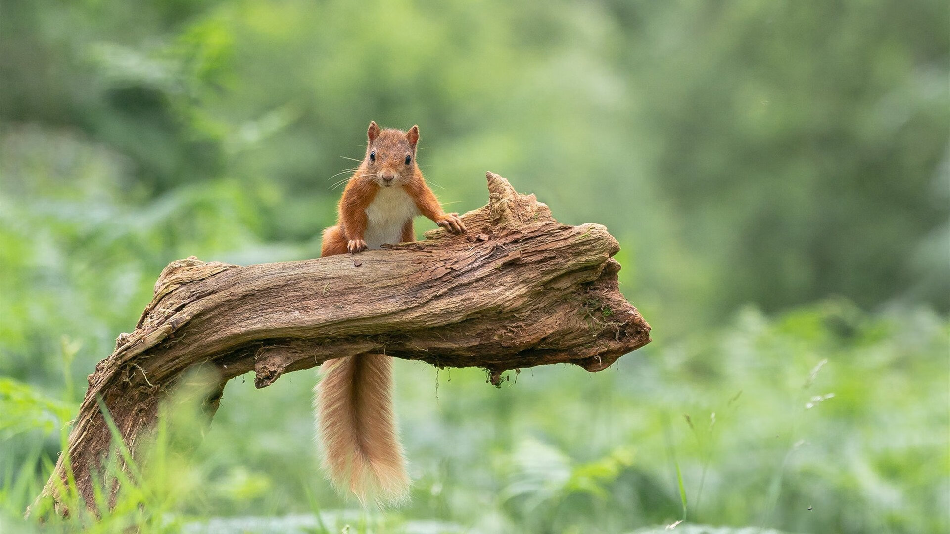 湖北迎来与福建的艰难较量，期待好的结果，福建和湖北接壤吗