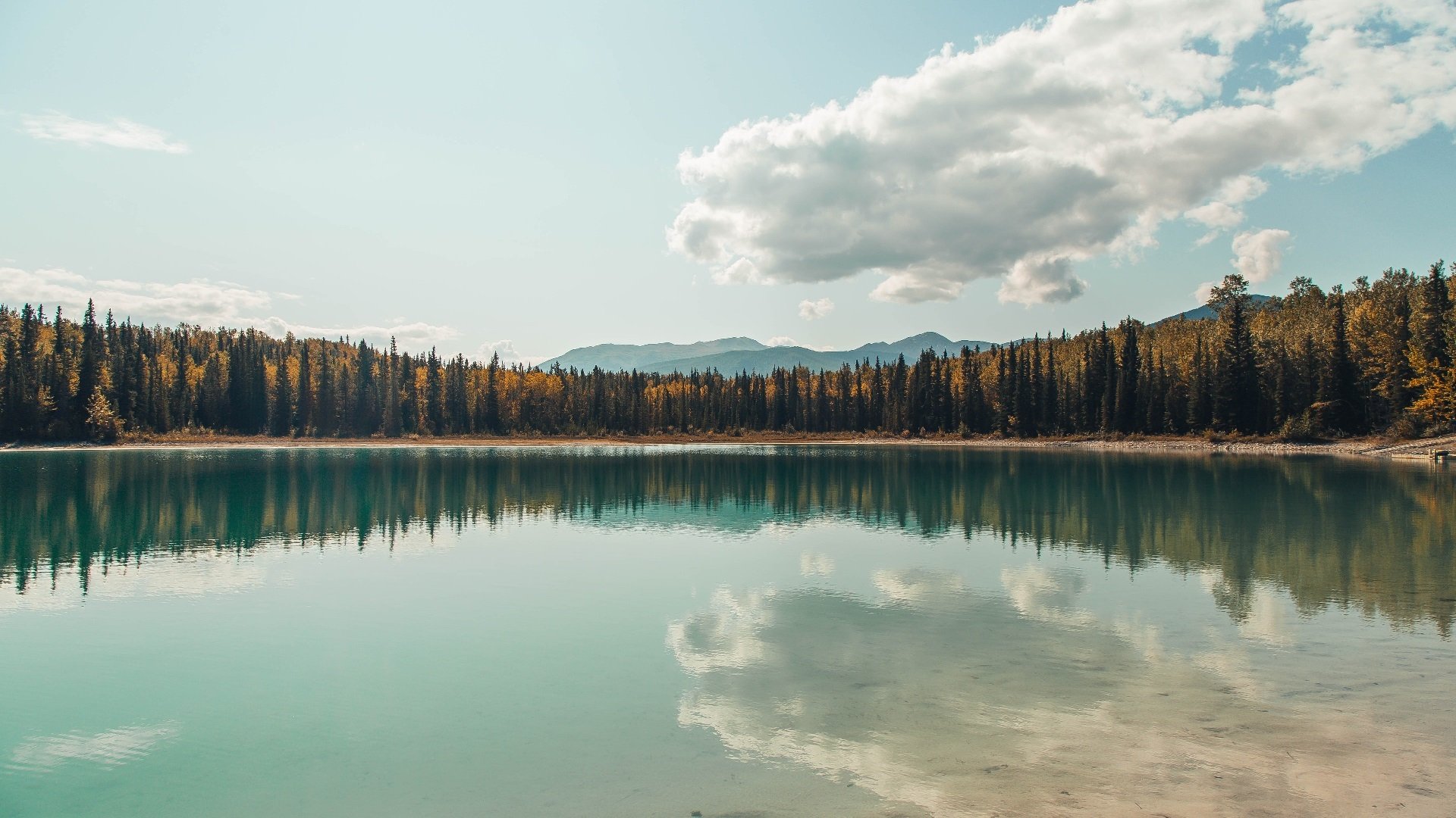 九游（jiuyou.com）游戏-球员技术精湛，将带来惊艳表现！，技术性球员