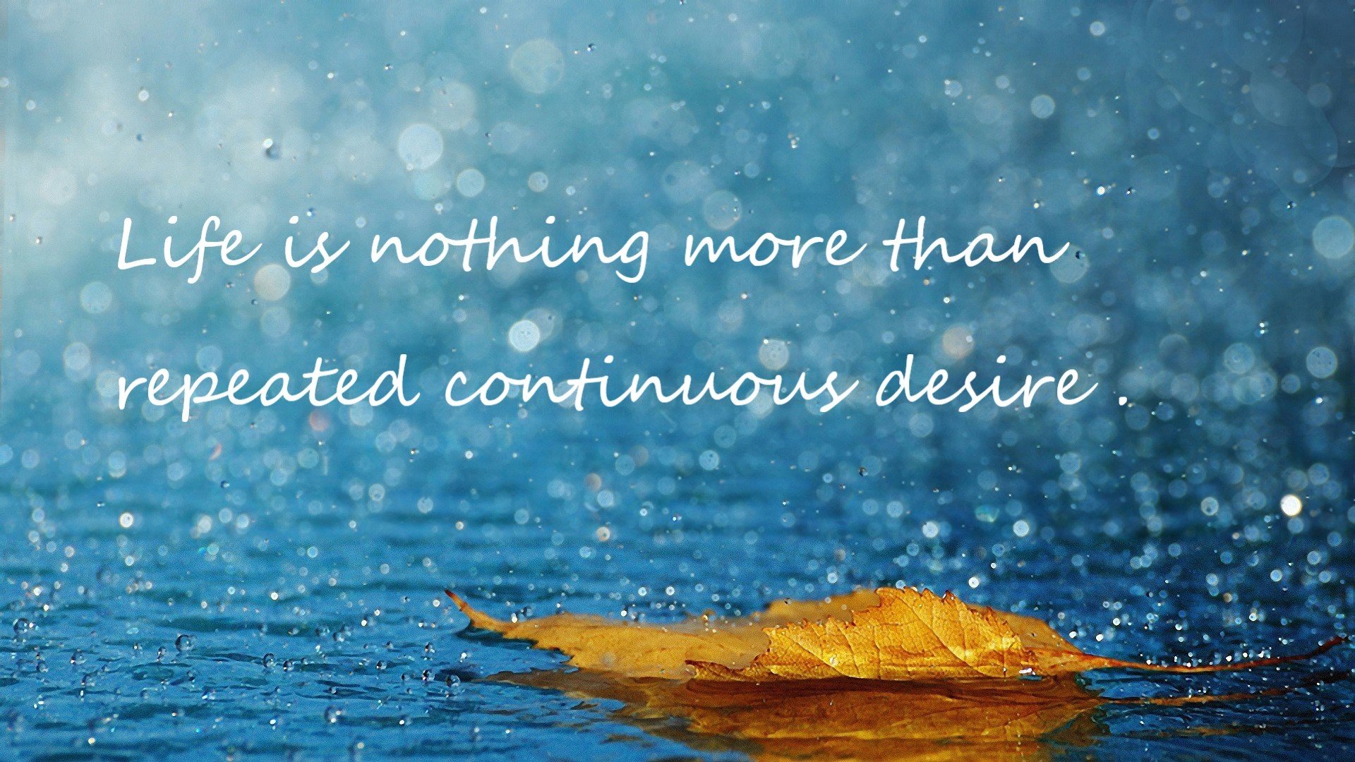 九游下载官网-NBA赛季盖帽数据分析，nba常规赛盖帽历史排名