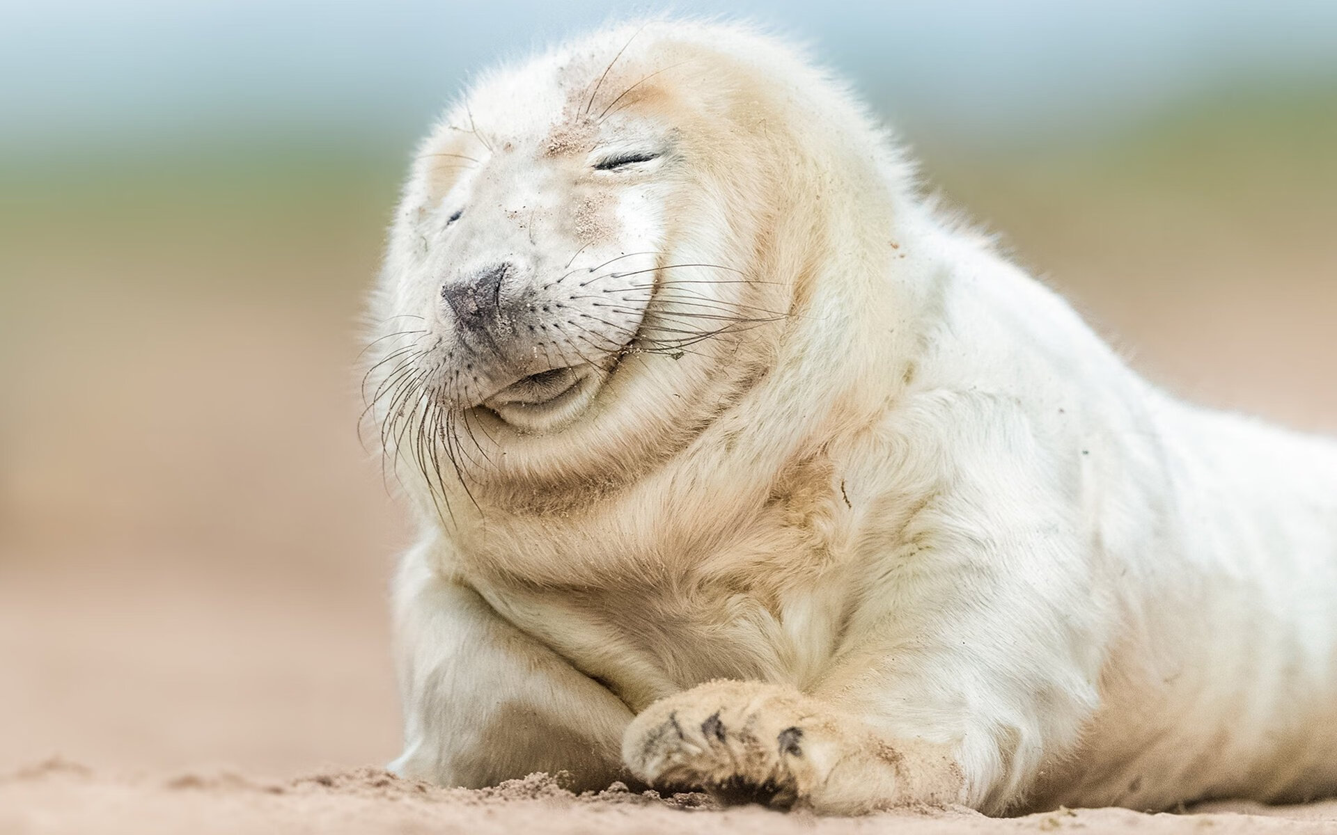 中国篮球运动员职业伦理教育研究，篮球运动员的职业道德