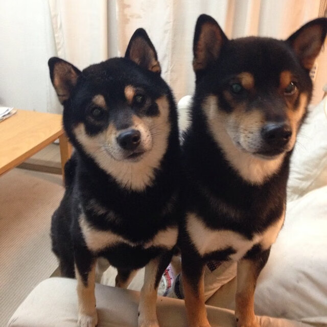 九游(jiuyou)官方网站-中国足球技术流派创新面临挑战，中国足球技术流派创新面临挑战的问题