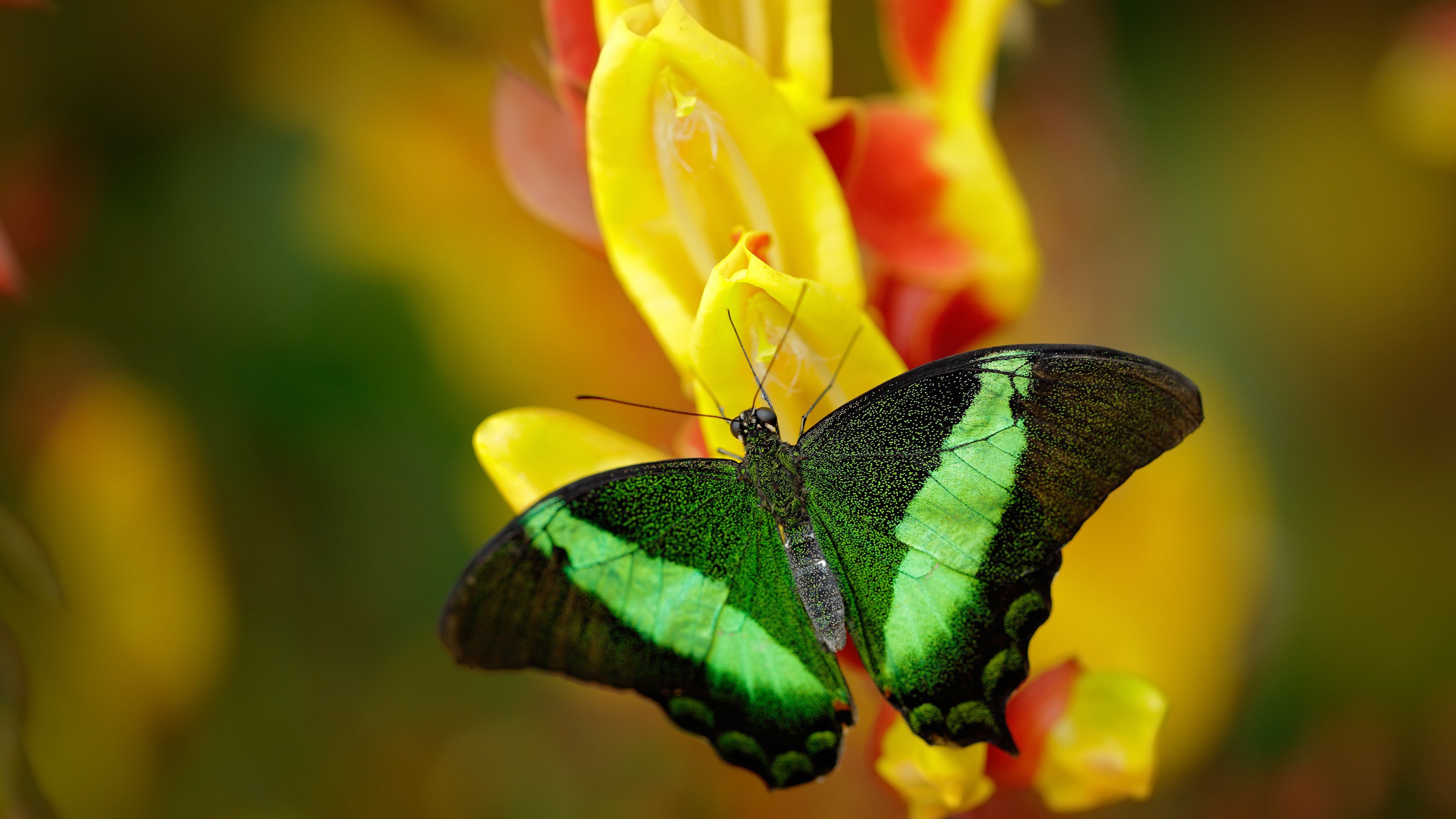 九游网页版官网入口-后防失误频率是否决定球队最终排名走势，后防最好的球队