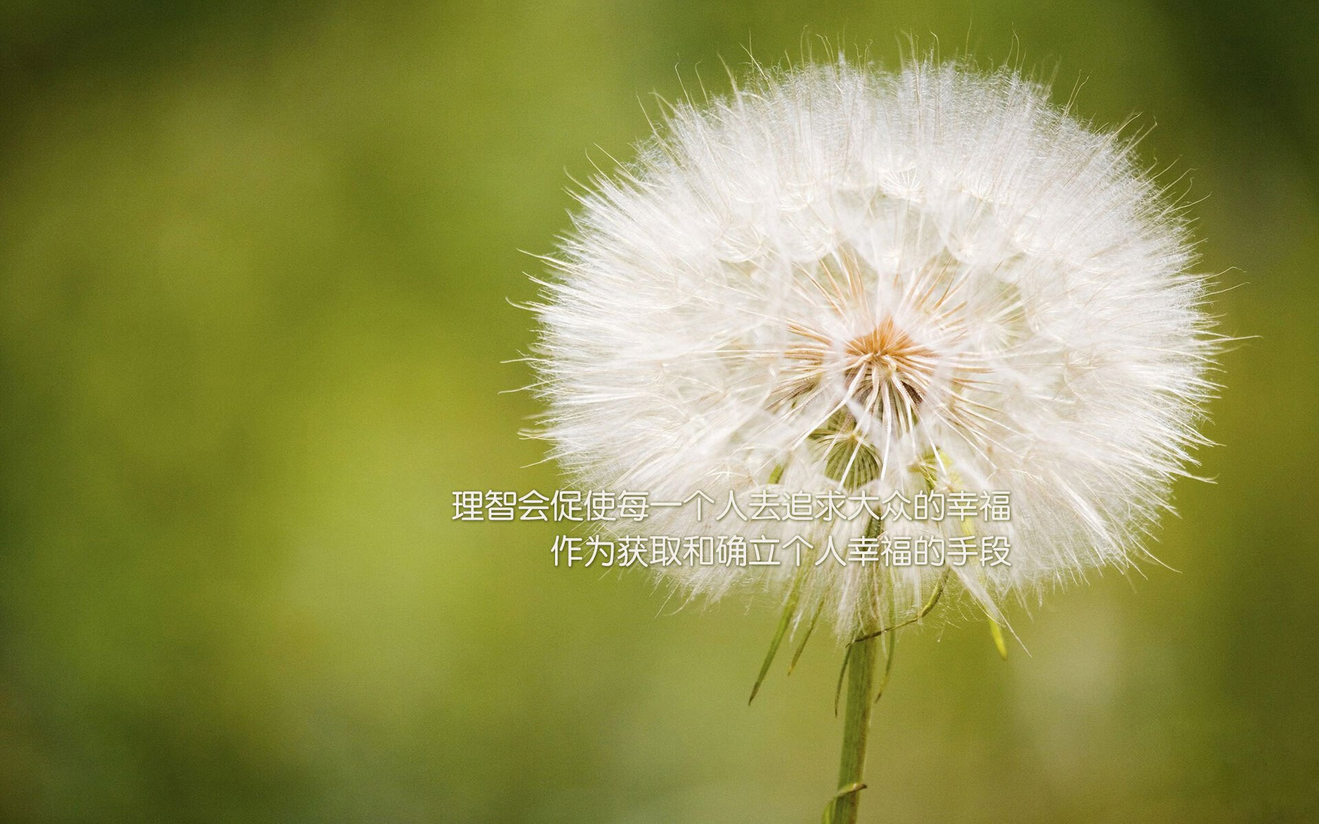 九游娱乐(jiuyou)官方网站-女篮阵容调整引热议，联赛选材成焦点，女篮 阵容