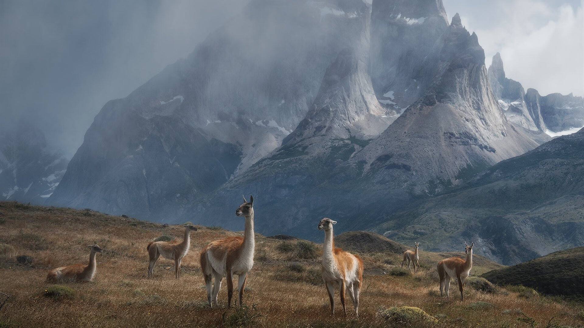 爱尔兰政府出台橄榄球支持政策，爱尔兰橄榄球队