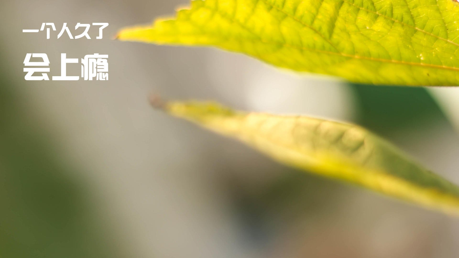 九游娱乐APP-社区橄榄球计划惠及五万名儿童，橄榄球活动方案格式模板