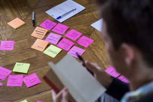 九游手机游戏-体育公益项目社会影响力研究，关于体育的公益项目